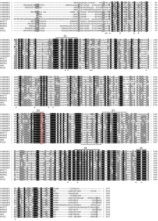 Fig 3