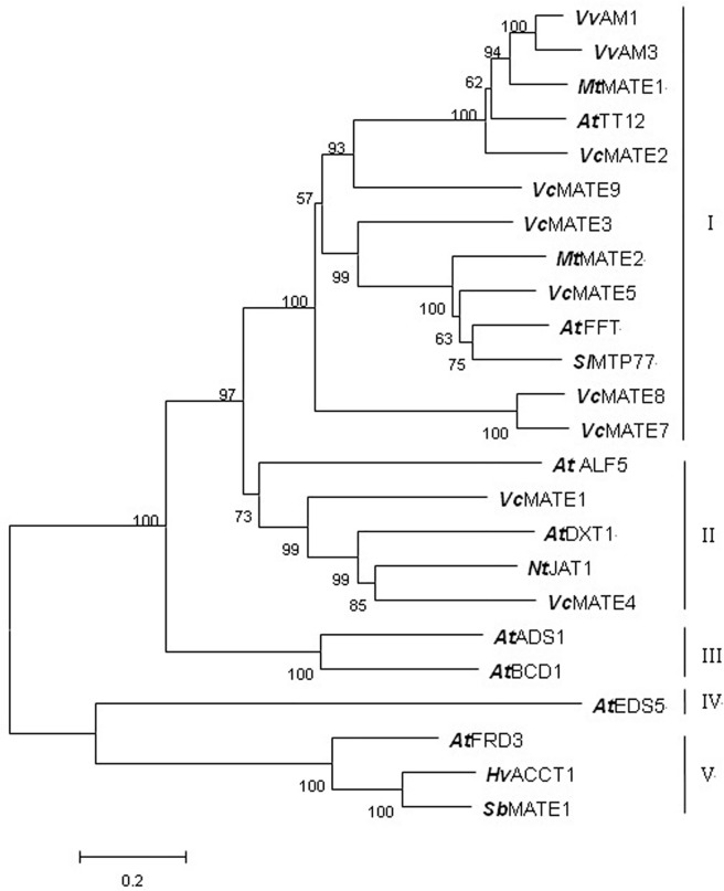 Fig 4