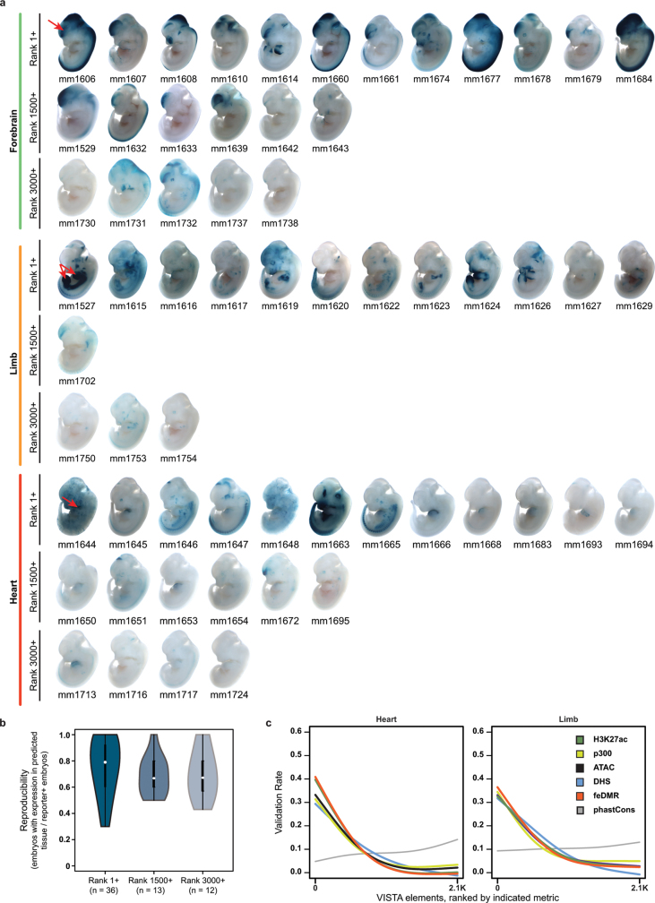 Extended Data Fig. 18