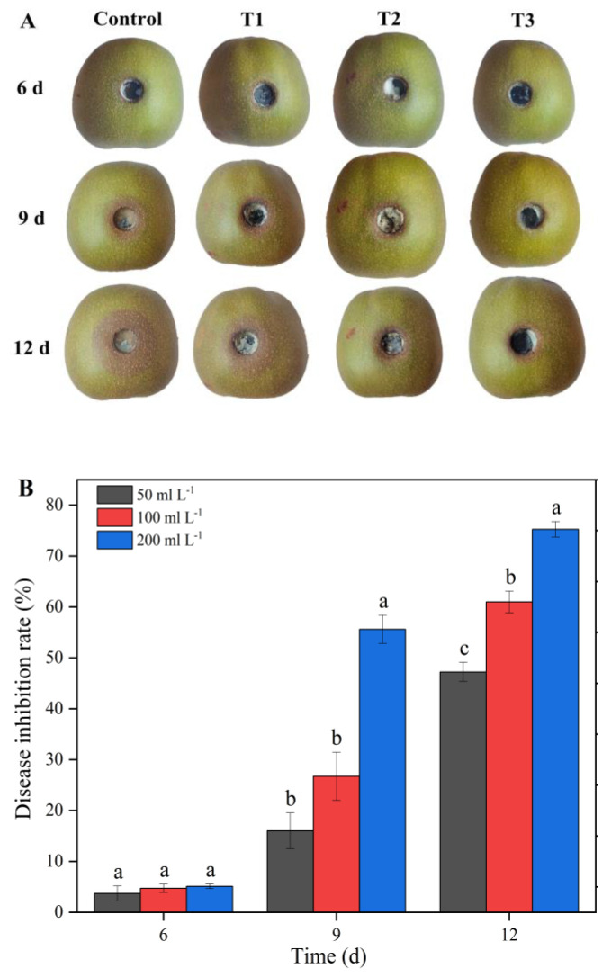 Figure 12