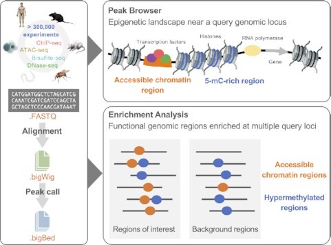 Graphical Abstract