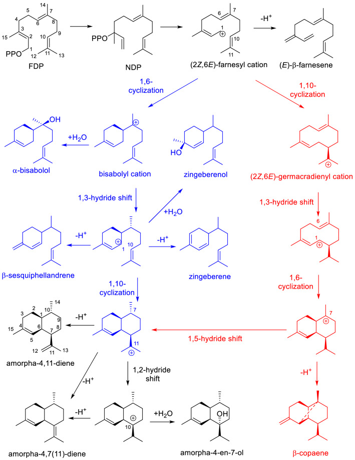 Fig. 2