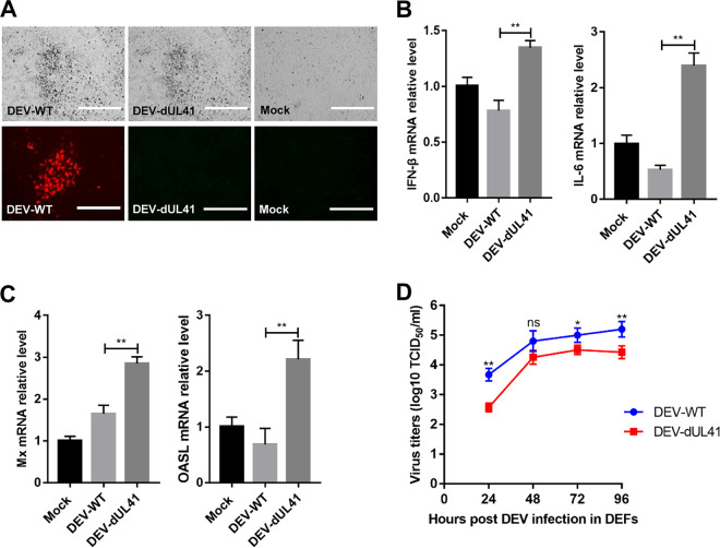 FIG 4