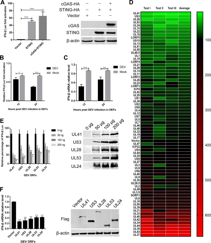 FIG 2