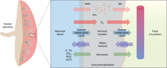 Fig. 3.