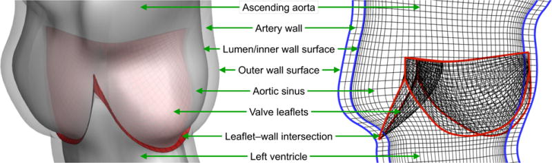 Figure 8