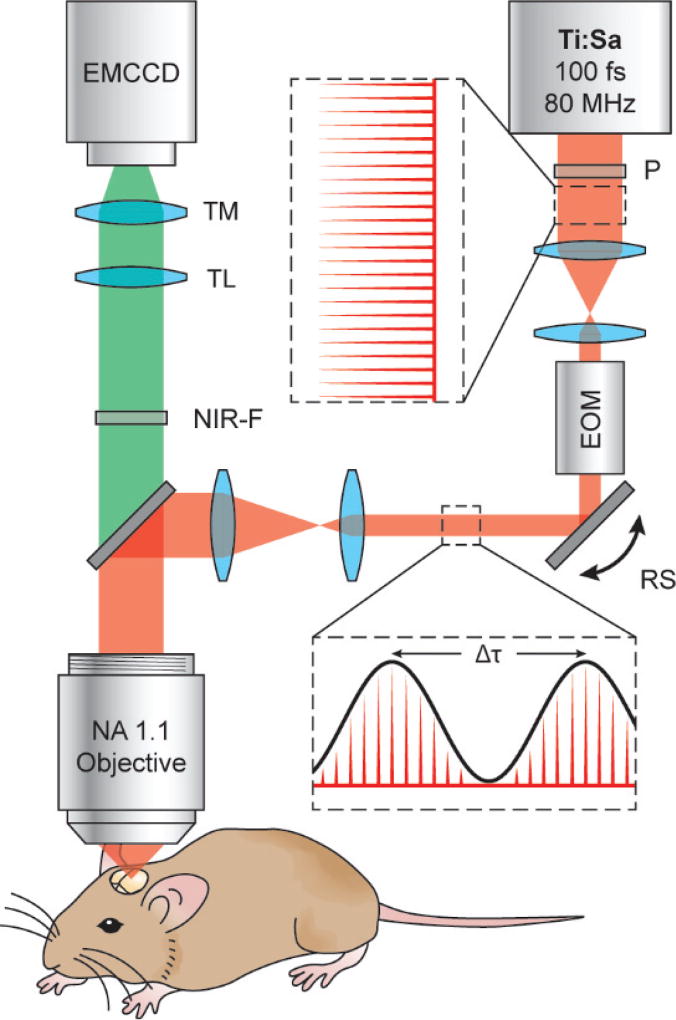 Fig. 1