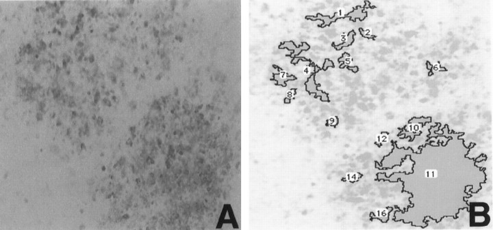 Fig. 2.