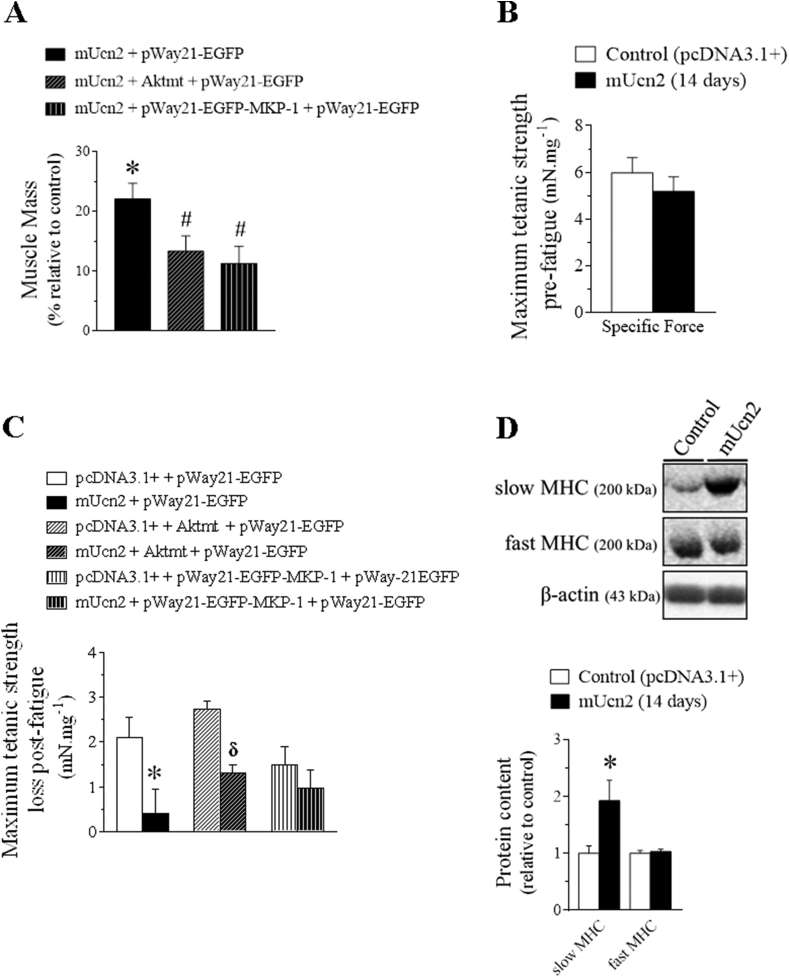 Figure 6