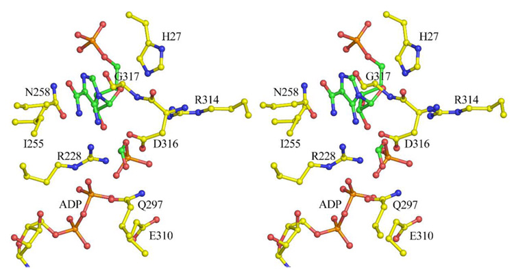 Figure 7