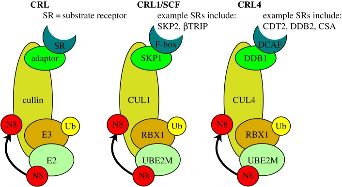 Figure 4.