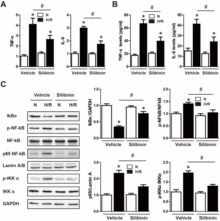 Figure 11