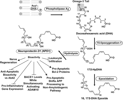 FIGURE 4 