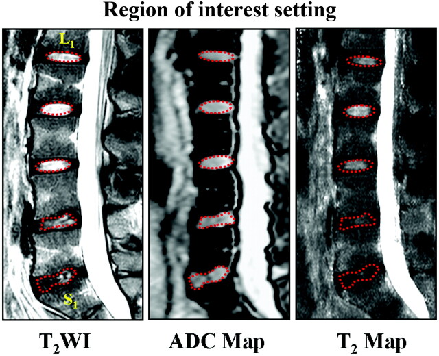 Fig 1.