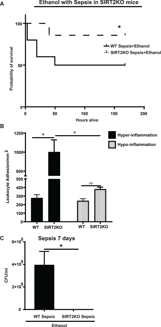 Figure 6: