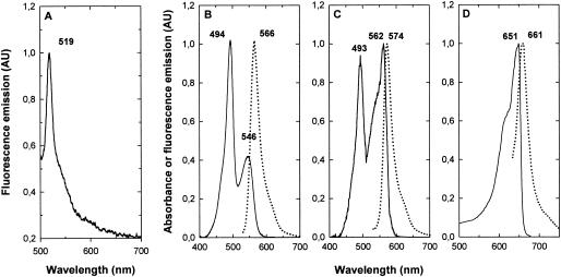 FIG. 7.