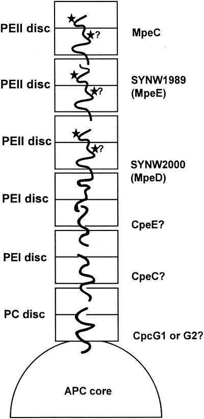 FIG. 9.