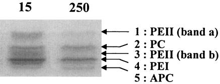 FIG. 5.