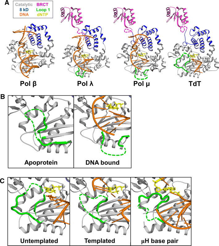 Fig. 3