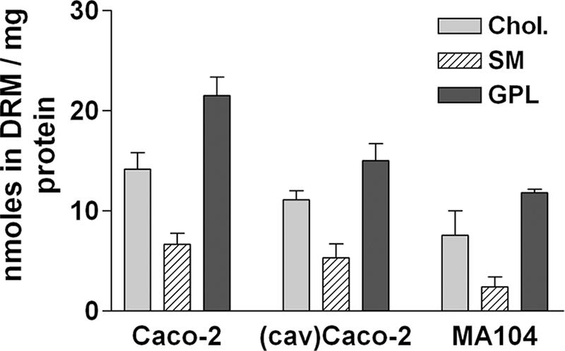 FIG. 5.