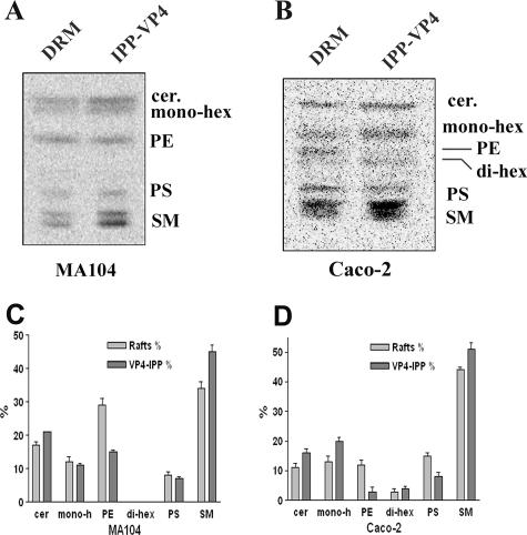 FIG. 8.