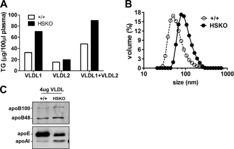 FIGURE 4.