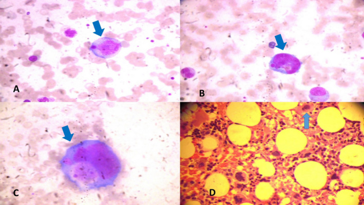 FIGURE 3