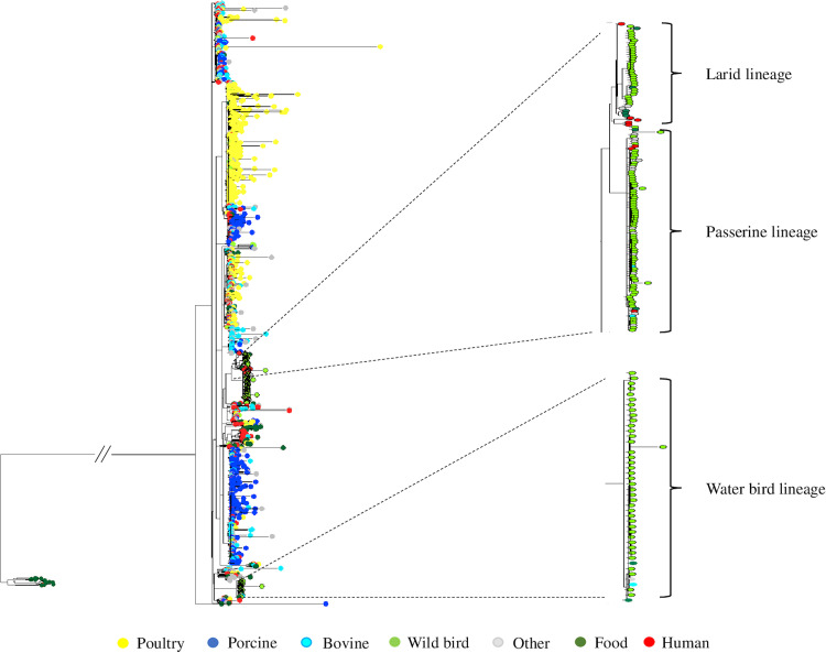 FIG 3