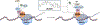 Fig 3: