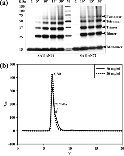 Fig. 9.