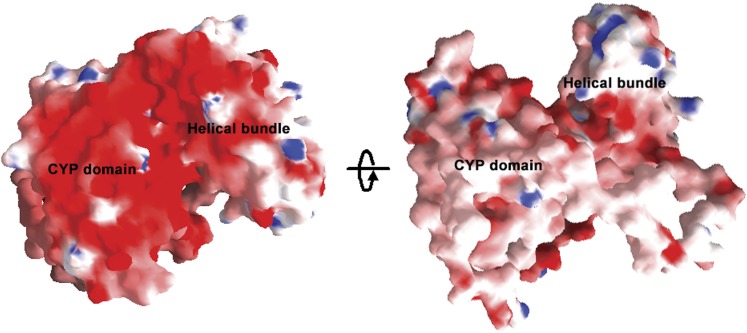 Figure 5.