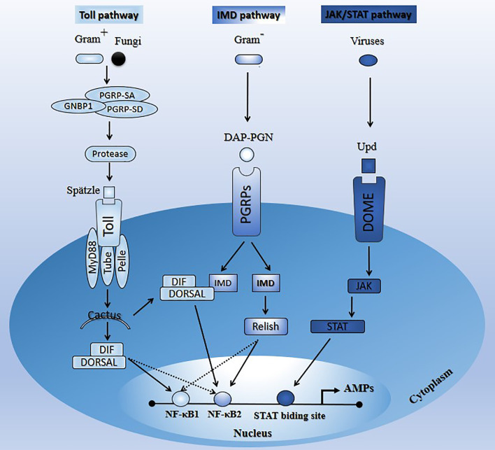 Figure 1