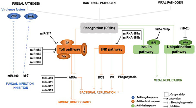 Figure 4