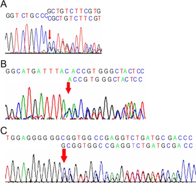 Figure 3.