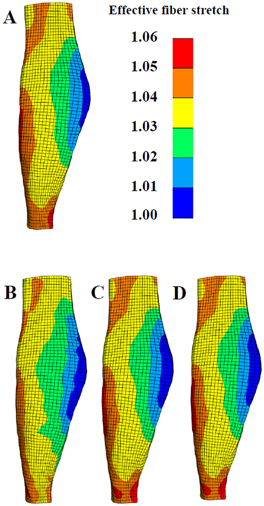 Figure 6: