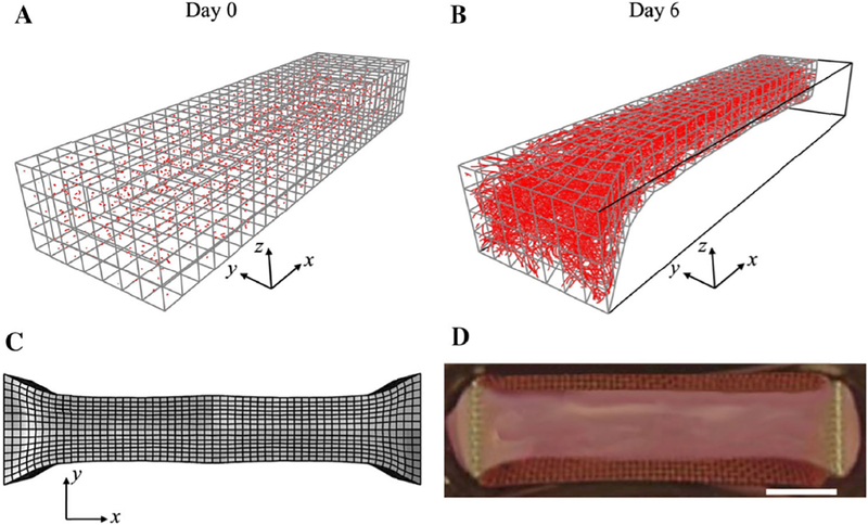 Figure 5: