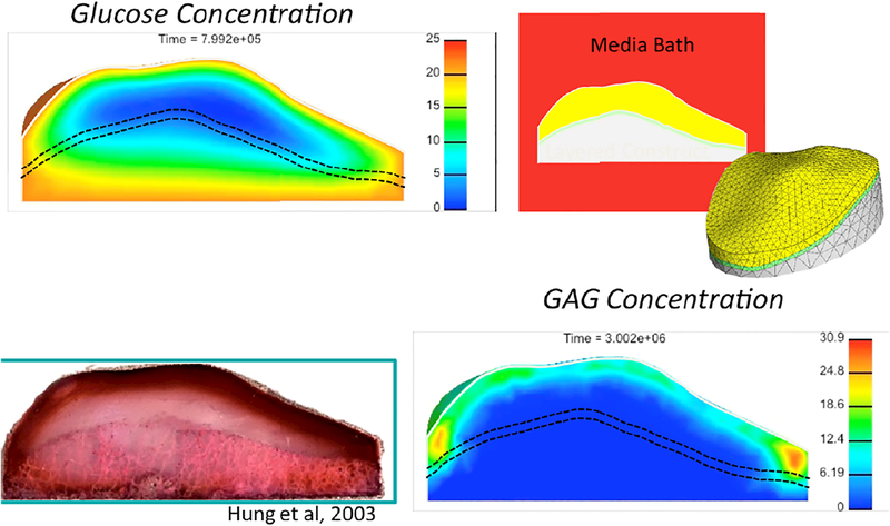 Figure 4: