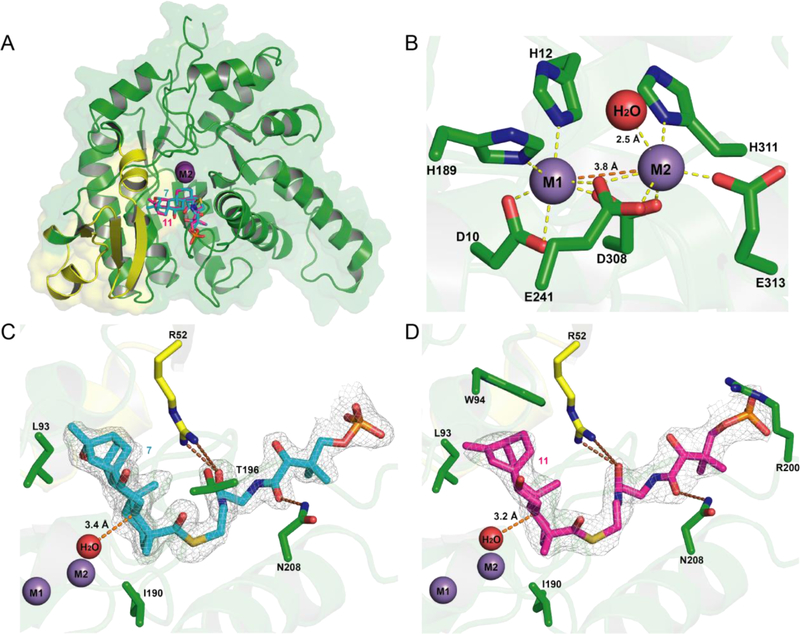 Figure 3.