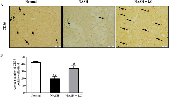 Figure 5