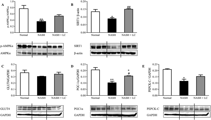 Figure 3