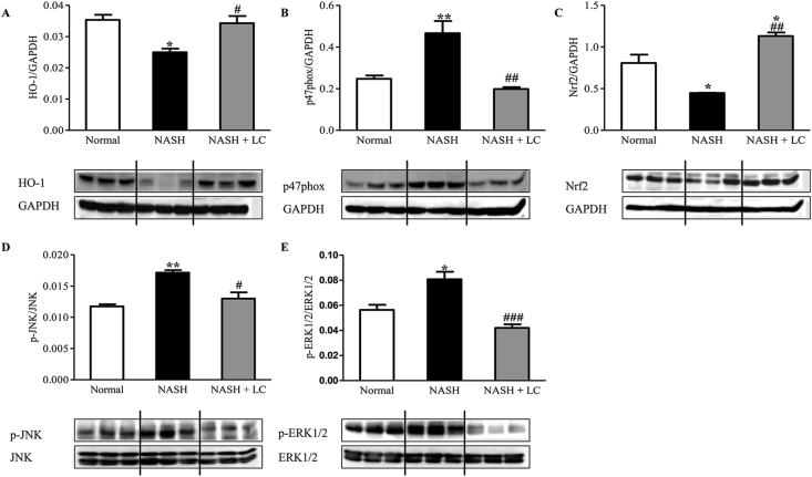 Figure 6