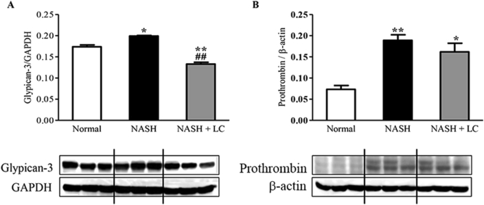 Figure 7