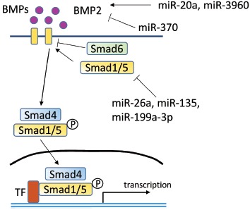 Fig. (2)