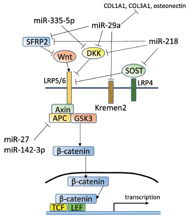 Fig. (3)