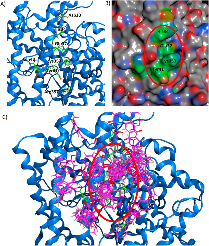 Fig. 2