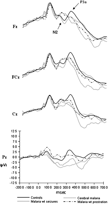 Fig. 2