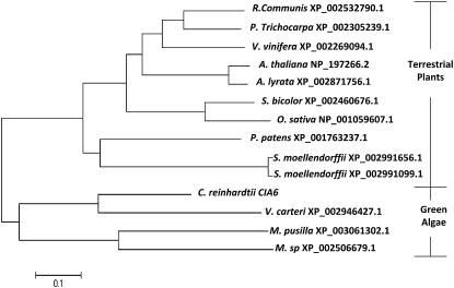 Figure 6.