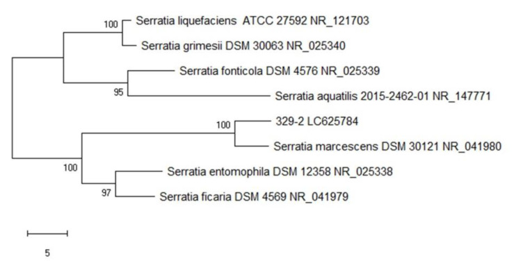 Figure 5