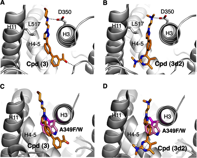 FIGURE 2.
