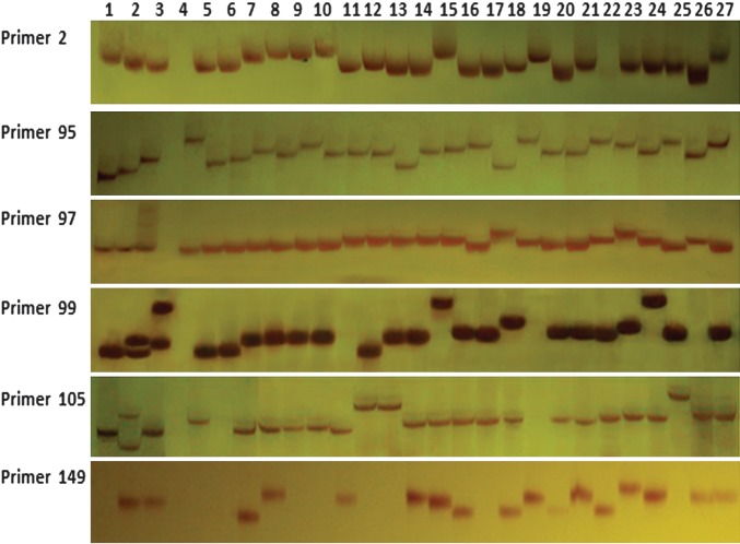 Figure 3.